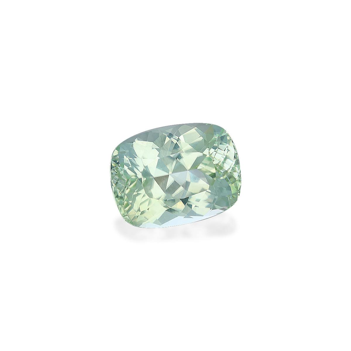 Paraiba Tourmaline 16.30 ct